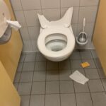 Die Toiletten sehen schrecklich aus !