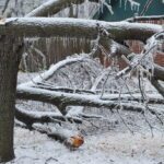 Schul-Entfall am 9.01.2026