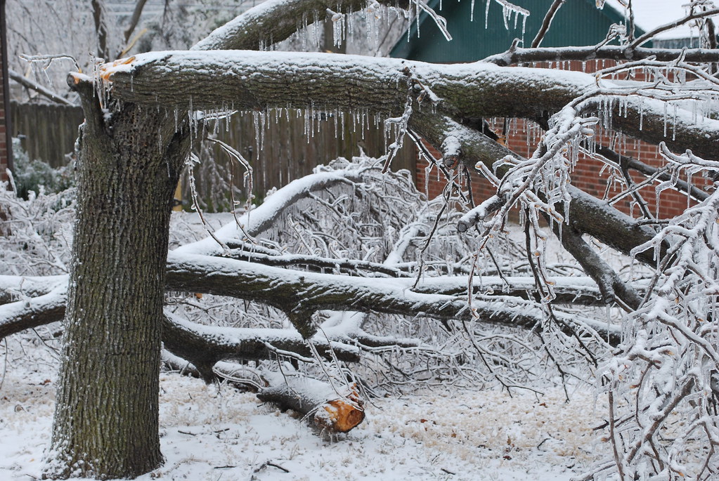 Schul-Entfall am 9.01.2026